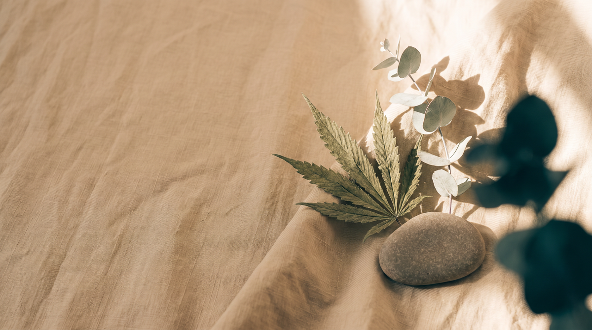 Elevated Naturals botanical hero background